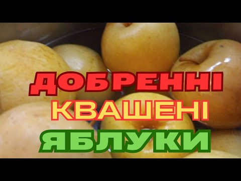 Видео: БОЧКУ КВАШЕНИХ ЯБЛУК МИ З'ЇДАЄМО ШВИДКО/ РЕЦЕПТ ПРОСТИЙ І ДОСТУПНИЙ  @Visiting_Tania