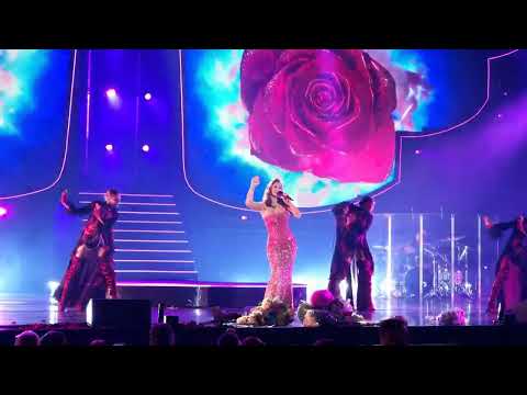 Видео: Ани Лорак - 14 Лети, душа (Санкт-Петербург, БКЗ Октябрьский, 25.10.2023)