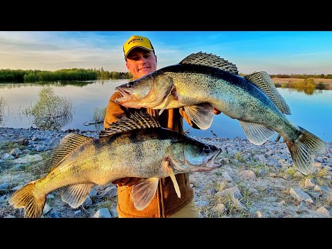 Видео: ЗДЕСЬ КИШИТ СУДАКОМ! ПРЕДНЕРЕСТОВЫЙ ЖОР СУДАКА ВЕСНОЙ 2022! Где и как ловить судака на джиг весной?