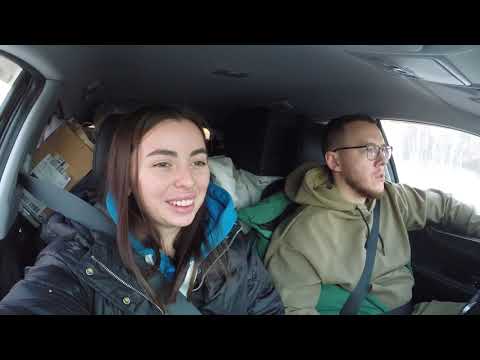 Видео: Переезд на машине с котом. Красноярск - Тюмень. 3 дня в пути