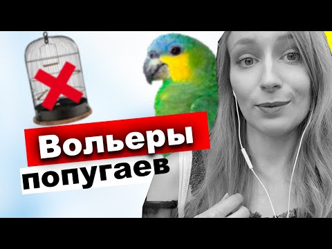 Видео: Как живут попугаи в вольерах ботанического сада Чехии г Оломоуц🦜 Попугаи амазоны, амадины, астрильды