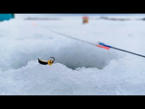 Видео: НАШЁЛ на дне РАКУШЕЧНИК с МАТЁРЫМИ окунями на безмотылку  Рыбалка зимой в 2023