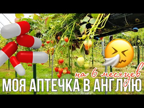 Видео: Моя АПТЕЧКА в Англию на 6 МЕСЯЦЕВ! | Что взять с собой на ферму?