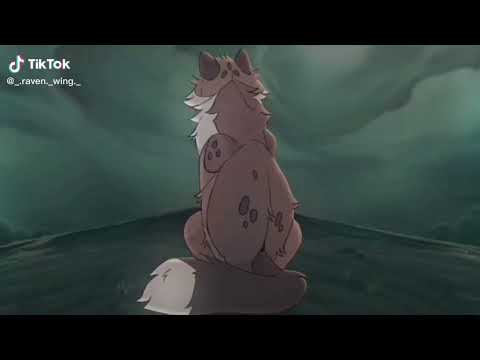 Видео: {аоаоаоаоа, коты воители из ТТ #4}