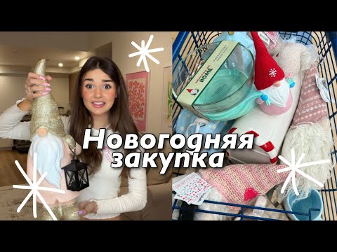 Видео: новогодняя закупка в Америке чек