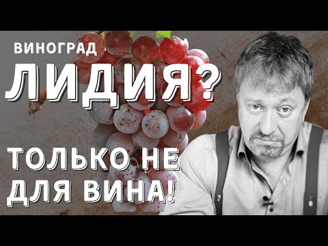 Видео: [ЛИДИЯ] - конкурент Изабеллы?