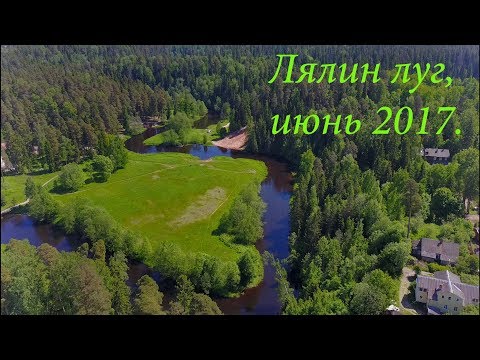 Видео: Посёлок Сиверский, деревня Кезево, Лялин луг, июнь 2017. Съёмка с Mavic Pro.