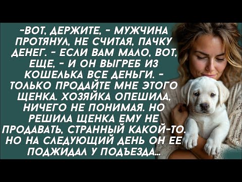 Видео: - Заберите все мои деньги, только отдайте мне этого щенка. А вскоре женщина узнала всю правду...