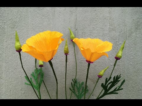 Видео: ABC TV |АВС ТВ | Как Сделать Калифорнийские Бумажные Цветы Бумаги от Бумаги Крепа - Учебник Ремесла