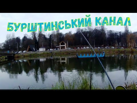 Видео: Риболовля на Бурштинському каналі. Перегодована риба?