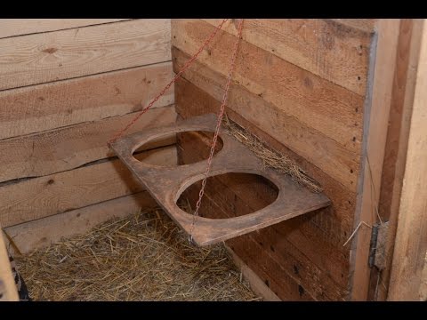 Видео: Условия содержания коз в хозяйстве "Милкин дом"