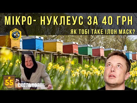 Видео: Бюджетний мікро-нуклеус за 40 грн.