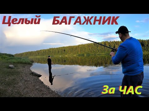 Видео: РЫБАЛКА по НОВОЙ ТЕХНОЛОГИИ# СКОРО ЗИМА# УЧУ СЫНИШКУ РЫБАЧИТЬ#ДЕРЕВЕНСКИЕ БУДНИ#деревня