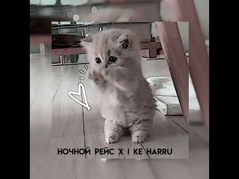 Видео: Ночной рейс x I Ke Harru(speed up)