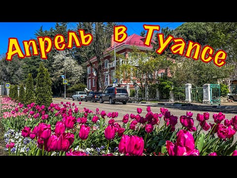 Видео: Цветущий Туапсе. Прогулка по красивым местам.