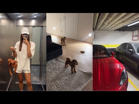 Видео: Новый день с Жидковским / История про курьера, машину и вечер с собаками