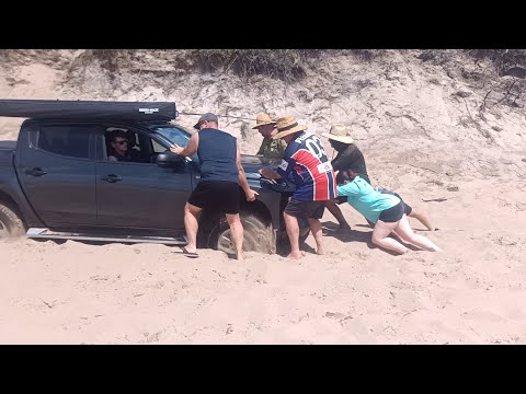 Видео: Жаркое болотистое утро в Саут-Рокс (Нгкала) на острове Фрейзер.