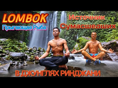 Видео: Ломбок: ДЖУНГЛИ, Вулкан и ТАЙНЫЕ Водопады!  От Гили к Ринджани
