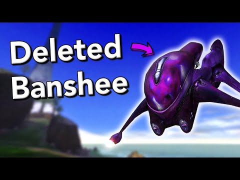 Видео: Вырезанный контент в Silent Cartographer