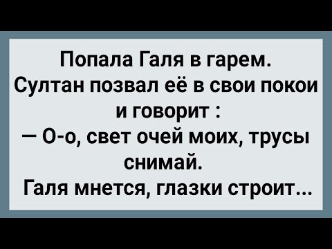 Видео: Как Галя в Гарем Попала! Сборник Свежих Анекдотов! Юмор!
