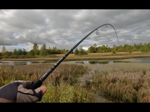Видео: Одна ПРИМАНКА сделала РЫБАЛКУ! Ловля ЩУКИ на СПИННИНГ осенью! Рыбалка с берега ОСЕНЬЮ!