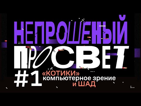 Видео: Непрошеный просвет: «котики», компьютерное зрение и ШАД / Выпуск 1