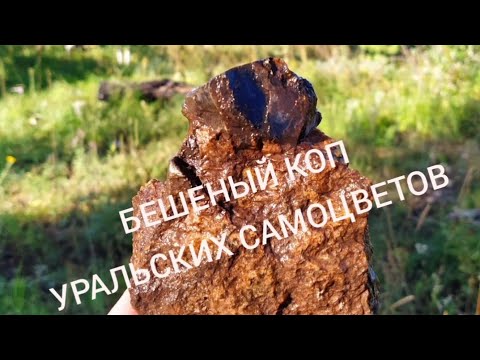 Видео: БЕШЕНЫЙ КОП уральских САМОЦВЕТОВ!