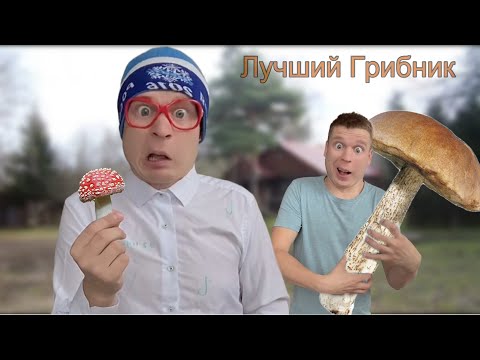 Видео: Школьный конкурс по собиранию ГРИБОВ🍄