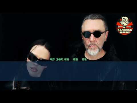Видео: Калинка караоке "Ёж", группа Ленинград. Минус