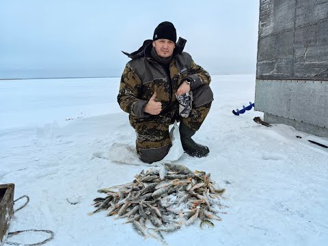 Видео: Рыбалка на САРТЛАНЕ перед новым годом