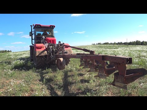 Видео: КИРОВЕЦ К-525 с плугом ПЛН 5-35. ХТЗ Т-150к втыкает трубы НКТ для нового загона.