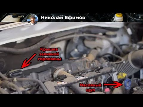 Видео: Как правильно заменить масло и фильтр на Citroen Berlingo: пошаговое руководство
