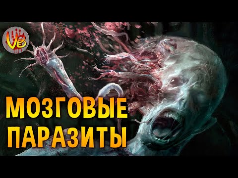 Видео: КРИПОВАЯ ХРЕНАТЕНЬ: МОЗГОВЫЕ ПАРАЗИТЫ