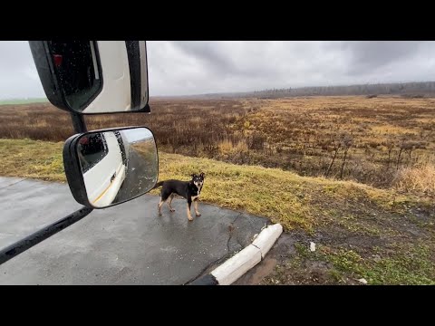 Видео: Сели аккумуляторы, протестировал бустер…