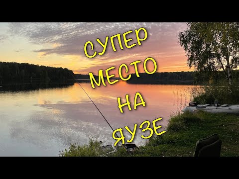 Видео: Рыбалка без рыбы - тоже РЫБАЛКА!!!