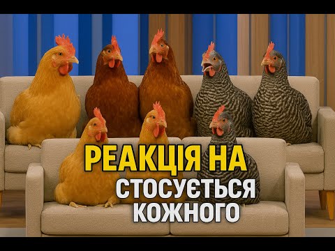Видео: Коло конфлікту дивимось і засуджуємо