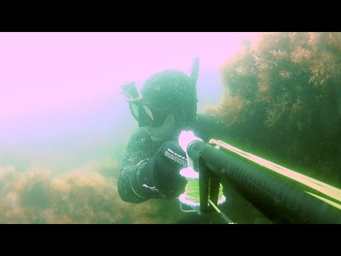 Видео: Часть №1 Охота на лобана 2021 Шикарная охота на кефаль SPEARFISHING IN BLACK SEA 2021. VLANIK 105.
