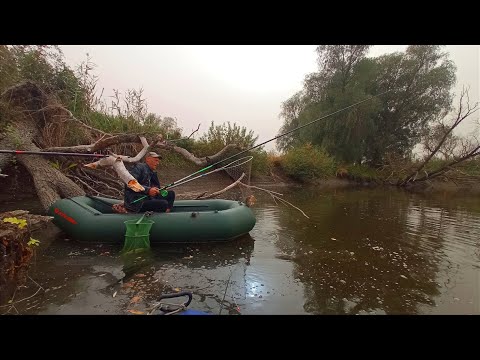 Видео: СТАВ БІЛЯ ПОВАЛЕНОГО ДЕРЕВА І ВІДРАЗУ УДОЧКА В ДУГУ. Рибалка на боковий кивок