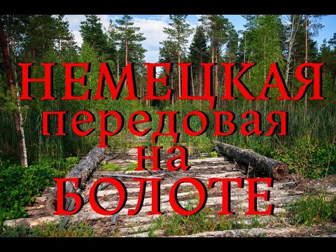 Видео: Нашел немецкую передовую на болоте. Все осталось на поверхности. Сбросы на болоте. Волховский Фронт.