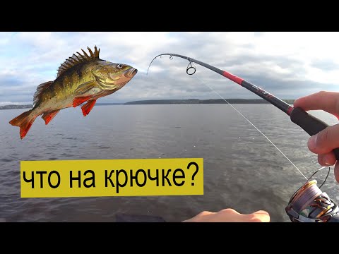 Видео: Хотели поймать Судака, а клевал ОН!