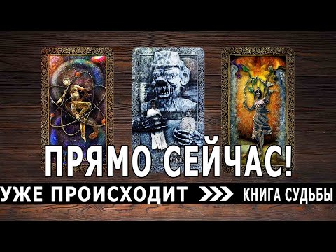 Видео: Точное сообщение, которое вам нужно услышать прямо сейчас | ТАРО ПРОГНОЗ НА БУДУЩЕЕ