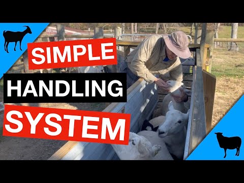 Видео: Система содержания коз и овец