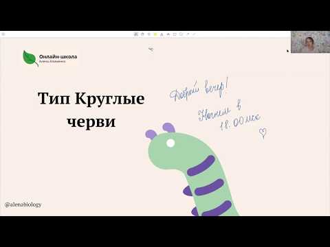 Видео: Тип Круглые черви