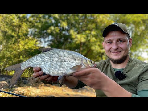 Видео: Самая неудачная рыбалка этого сезона. Рыбалка на фидер осенью. Ловля леща и плотвы на Днепре.