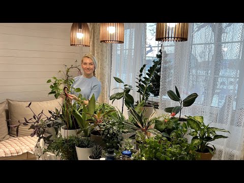 Видео: ЦВЕТОЧНЫЙ ДОМ/ДОМАШНИЙ ХЛЕБ/ПЛЕТЕНИЕ ИЗ РОТАНГА И ПРОДОЛЖЕНИЕ РЕМОНТА