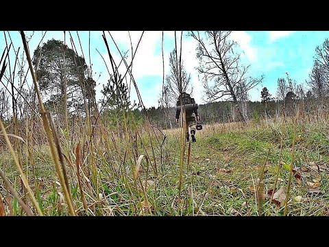 Видео: ЛОВЛЯ ЩУКИ НА САМОЛОВКИ(ПОСТАВУШКИ,ЖЕРЛИЦЫ)/РЫБАЛКА С НОЧЁВКОЙ В ПАЛАТКЕ/ЕДА НА КОСТРЕ...