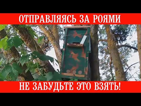Видео: Отправляясь за роями не забудьте это взять!
