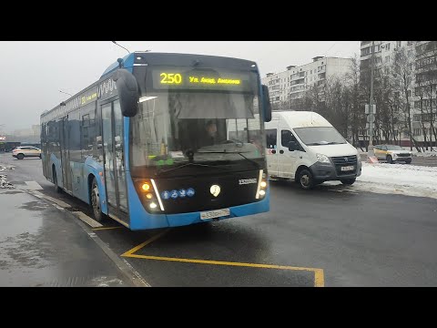 Видео: Автобус №250. 5-й микрорайон Тёплого Стана - Улица Академика Анохина - 5-й микрорайон Тёплого Стана
