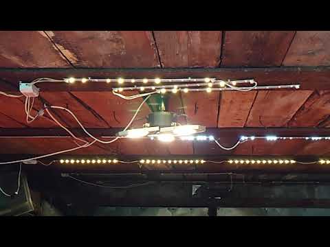 Видео: Удар молнии pt.3