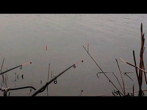 Видео: Рыбалка на поплавок в МАРТЕ  КАРАСЬ,САЗАН удочки спутал